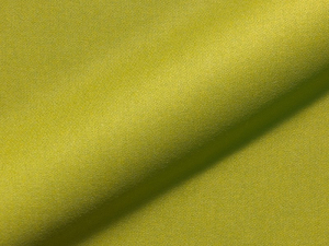 Willow FR 928